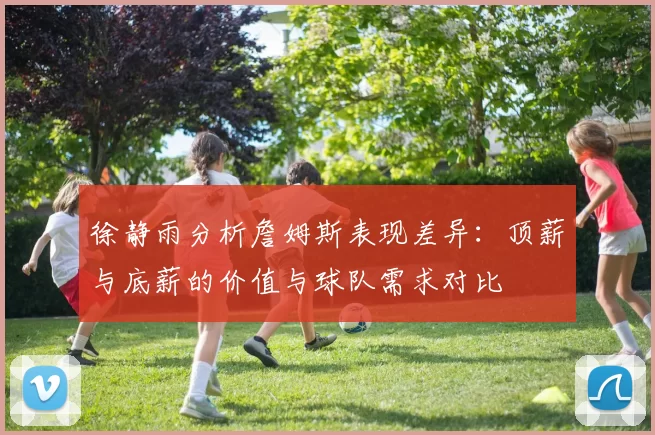 徐静雨分析詹姆斯表现差异：顶薪与底薪的价值与球队需求对比
